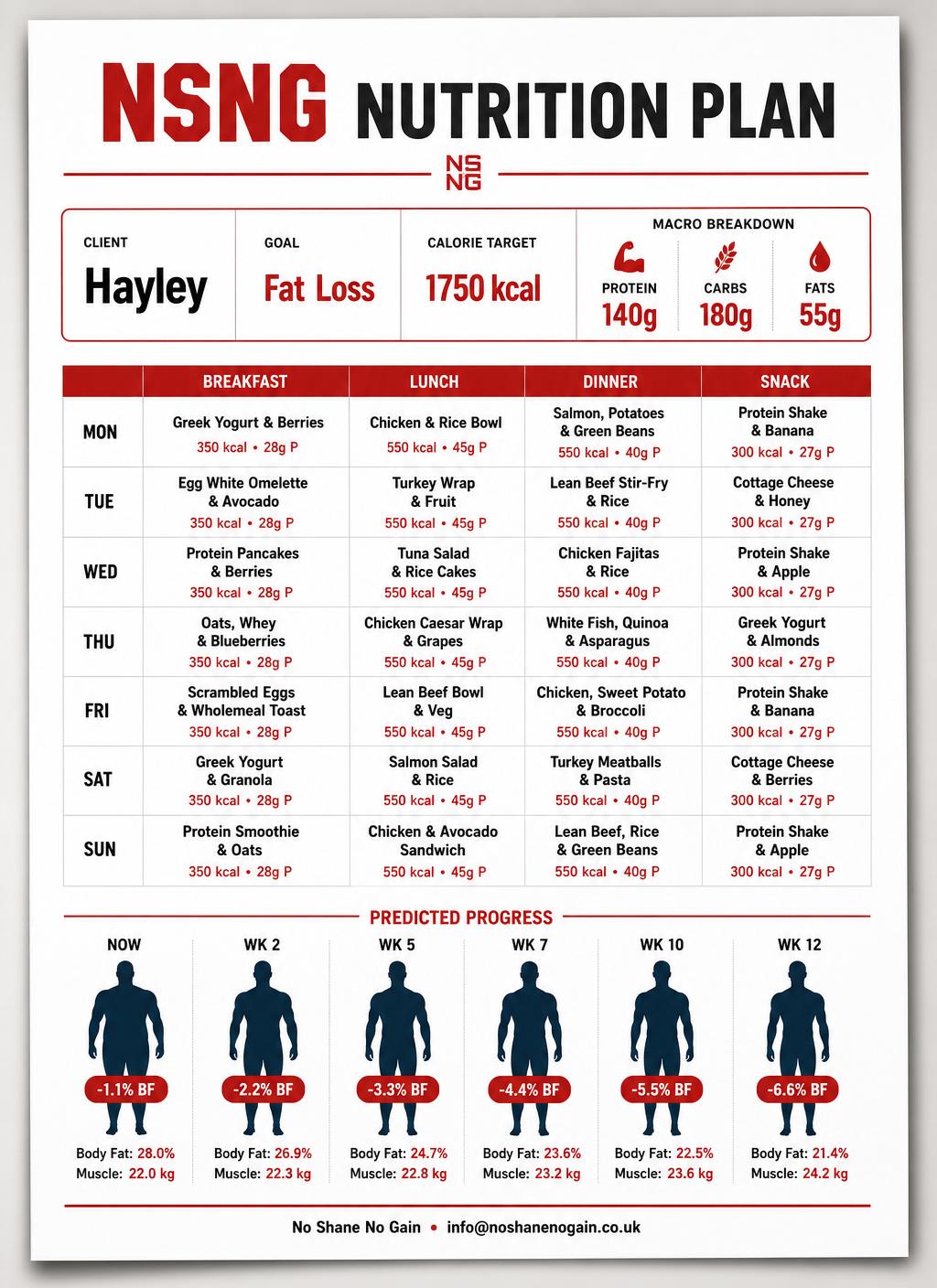 NSNG personalised nutrition plan sheet preview